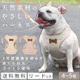 画像1: スーパーハーネス＆リード フェアオーガニック 【4~5号】 (1)