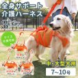 画像1: 中大型犬用 メッシュ3WAYケアハーネスプレミアム　9号 (1)