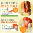 画像11: 中大型犬用 メッシュ3WAYケアハーネスプレミアム　7号