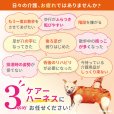 画像3: 中大型犬用 メッシュ3WAYケアハーネスプレミアム　7号