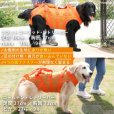 画像2: 中大型犬用 メッシュ3WAYケアハーネスプレミアム　10号