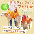 画像9: 中大型犬用 メッシュ3WAYケアハーネスプレミアム　9号