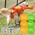 画像4: 中大型犬用 メッシュ3WAYケアハーネスプレミアム　8号