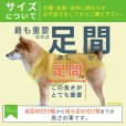 画像15: 中大型犬用 メッシュ3WAYケアハーネスプレミアム　9号