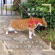 画像2: [ネコpom]猫用スーパー胴輪＆リード シンプルトリコ 2号【リニューアル】