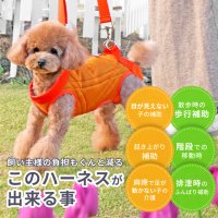 中大型犬用 メッシュ3WAYケアハーネスプレミアム　２号