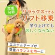 画像9: 中大型犬用 メッシュ3WAYケアハーネスプレミアム　4号