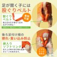 画像11: 中大型犬用 メッシュ3WAYケアハーネスプレミアム　4号