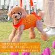 画像2: 中大型犬用 メッシュ3WAYケアハーネスプレミアム　4号