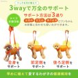 画像5: 中大型犬用 メッシュ3WAYケアハーネスプレミアム　4号