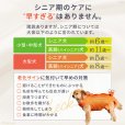 画像6: 中大型犬用 メッシュ3WAYケアハーネスプレミアム　4号