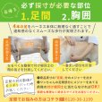 画像16: 中大型犬用 メッシュ3WAYケアハーネスプレミアム　4号