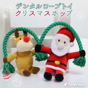 画像1: デンタルロープTOY クリスマスポップ