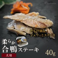 やわらかお肉の合鴨ステーキ