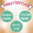 画像3: 【犬・猫用】ヤギホエイプロテイン【無添加・無着色】 (3)