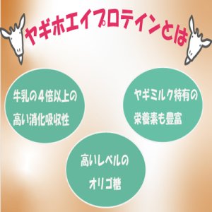 画像3: 【犬・猫用】ヤギホエイプロテイン【無添加・無着色】