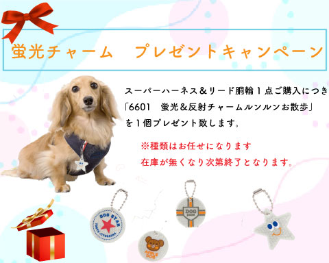 蛍光チャームプレゼント