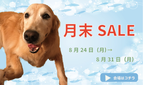 月末SALE