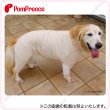 画像1: 【ズバリ価格】中・大型犬用 毛落ち防止背開きカバーオール フェアオーガニック 6〜10号 (1)