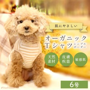 画像: 【ズバリ価格】中大型犬用オーガニックＴシャツ　シンプルボーダー　６号