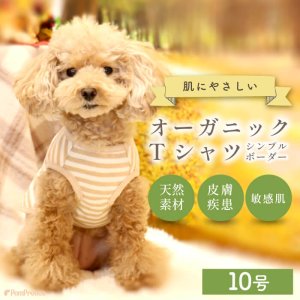 画像: 【ズバリ価格】中大型犬用オーガニックＴシャツ　シンプルボーダー　１０号