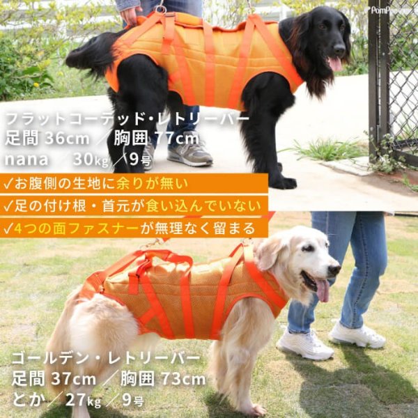 画像2: 中大型犬用 メッシュ3WAYケアハーネスプレミアム　10号 (2)