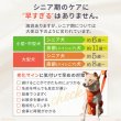 画像6: 中大型犬用 メッシュ3WAYケアハーネスプレミアム　9号 (6)