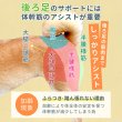 画像7: 中大型犬用 メッシュ3WAYケアハーネスプレミアム　9号 (7)