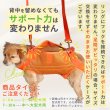 画像3: 中大型犬用 メッシュ3WAYケアハーネスプレミアム　4号 (3)