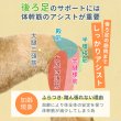 画像7: 中大型犬用 メッシュ3WAYケアハーネスプレミアム　4号 (7)