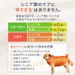 画像6: 中大型犬用 メッシュ3WAYケアハーネスプレミアム　4号 (6)